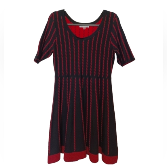 Danny & Nicole Dresses & Skirts - Danny & Nicole A line Sweater Dress size PL